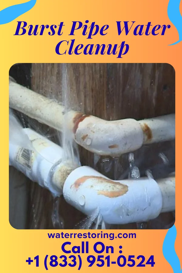 Burst Pipe Water Cleanup in Long View, NC