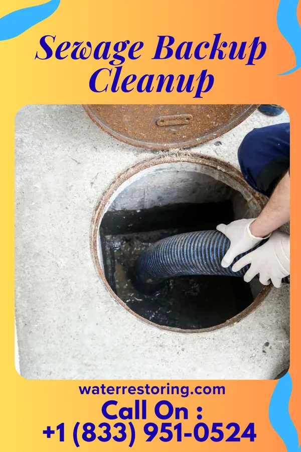 Sewage Backup Cleanup in Long View, NC