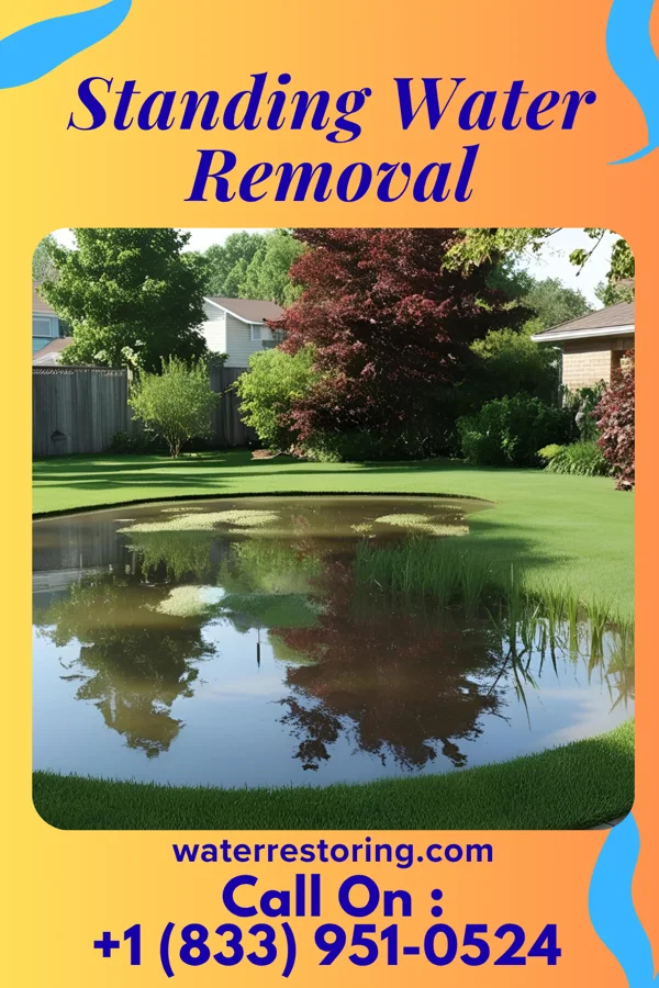 Standing Water Removal in Long View, NC